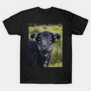 Scottish Highland Blue Grey | Unique Beautiful Travelling Home Decor | Phone Cases Stickers Wall Prints | Scottish Travel Photographer  | ZOE DARGUE PHOTOGRAPHY | Glasgow Travel Photographer T-Shirt